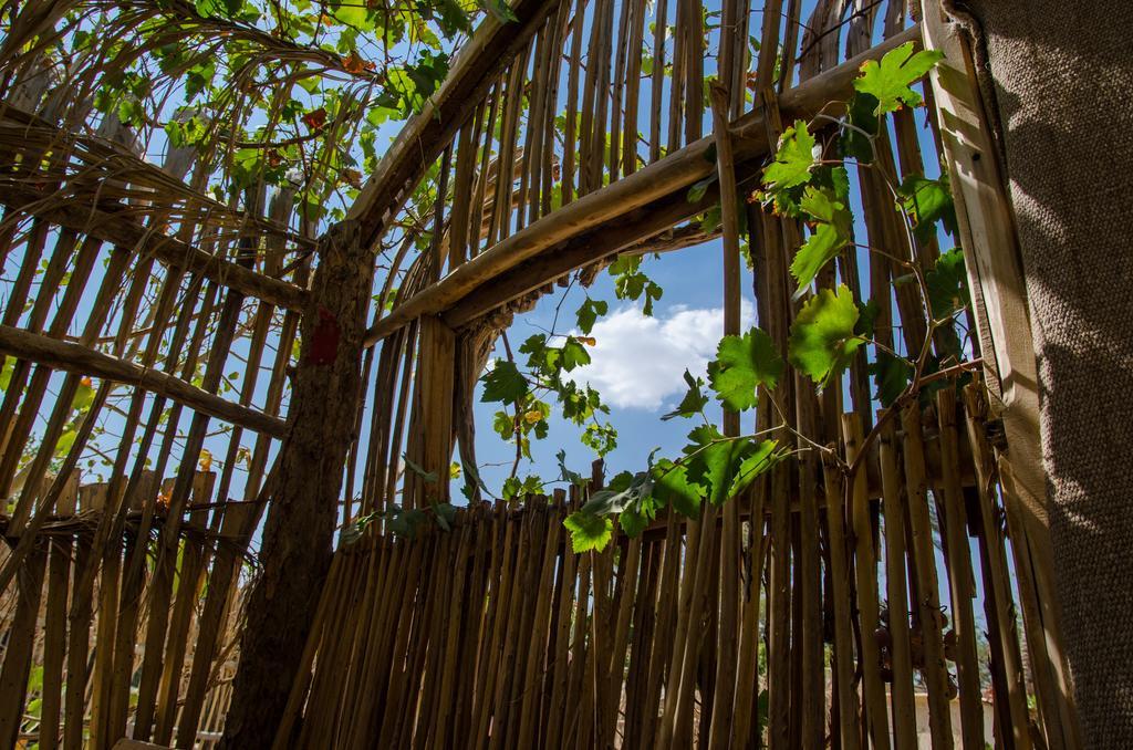 Kfar Hanokdim - Glamping & Camping Αράντ Εξωτερικό φωτογραφία